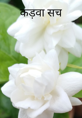 कड़वा सच