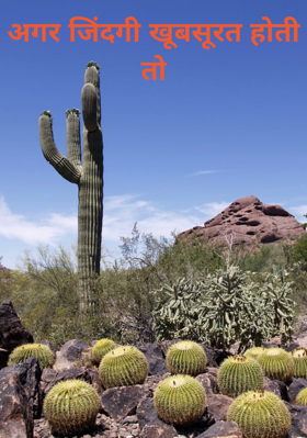 अगर जिंदगी खूबसूरत होती तो