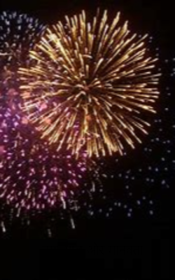 नया साल और मानवता