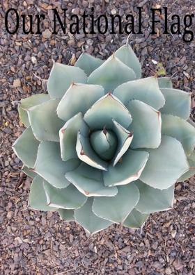 Our National Flag