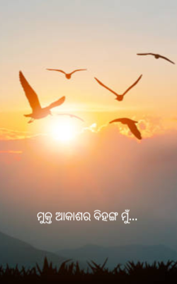 ମୁକ୍ତ ଆକାଶର ବିହଙ୍ଗ ମୁଁ