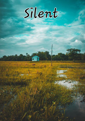 Silent