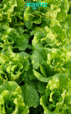 मंजुघोषा