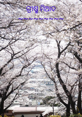 ଗ୍ରୀଷ୍ମ ମିଆଦ