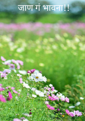 जाण गं भावना!!
