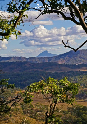 నేలతల్లి