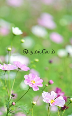 திருமந்திரம்