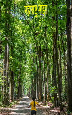 महाराष्ट्र माझा