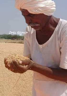 పాట కట్టాలా