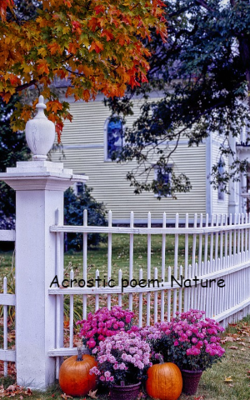 Acrostic Poem: Nature