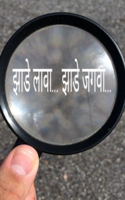 झाडे लावा... झाडे जगवा...