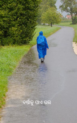 ବର୍ଷାକୁ ପାଏ ଭଲ