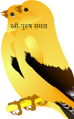 स्त्री-पुरुष समता