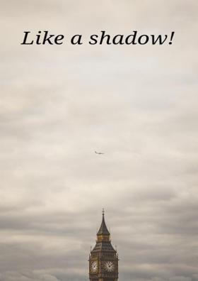 Like A Shadow!
