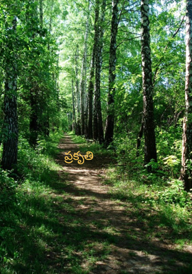 ప్రకృతి