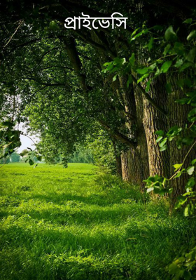 প্রাইভেসি