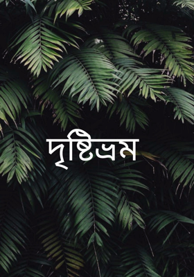 দৃষ্টিভ্রম 