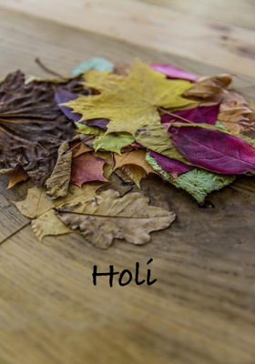 Holi
