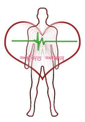 স্পন্দিত স্পন্দন