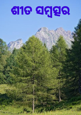 ଶୀତ ସମ୍ବତ୍ସର