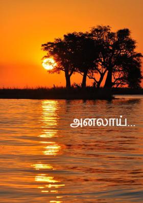 அனலாய்.....