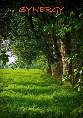 SYNERGY