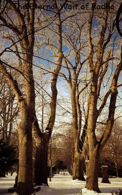 The Eternal Wait of Radha