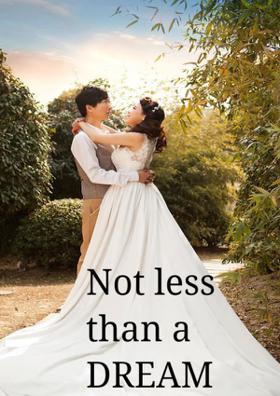 Not Less Than A Dream