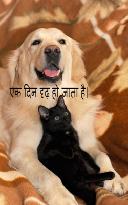 एक दिन दृढ़ हो जाता है।