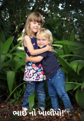 ભાઈ નો ખાલીપો!