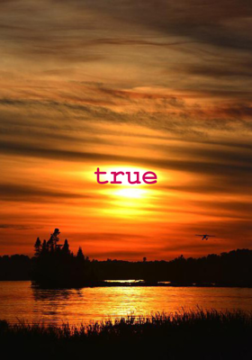 true 