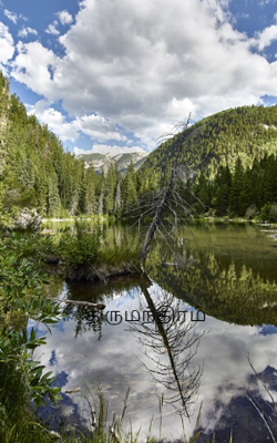 திருமந்திரம்