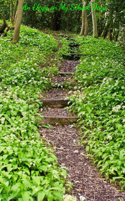 An Elegy on My School Days