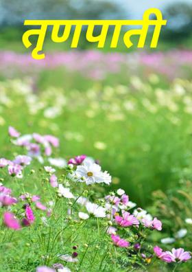 तृणपाती