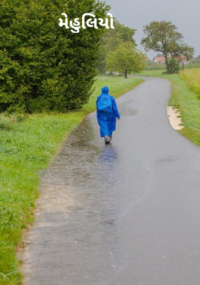 મેહુલિયો