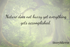 Nature does not hurry yet everything gets accomplished.