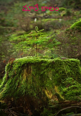 మారే కాలం