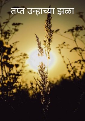 तप्त उन्हाच्या झळा