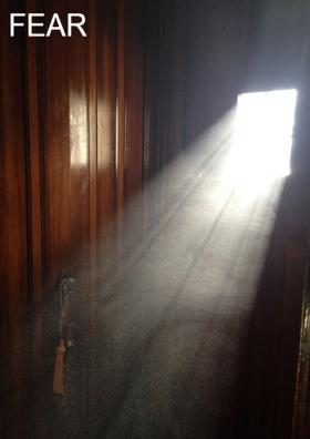 Fear