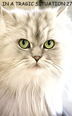 IN A TRAGIC SITUATION 27