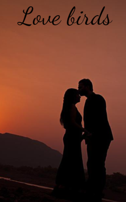 Love Birds