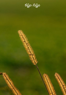 కష్టం నష్టం
