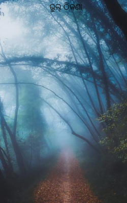 ଭୁଲ୍ ଠିକଣା