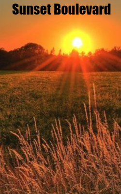 Sunset Boulevard