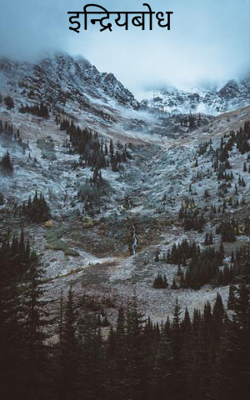 इन्द्रियबोध