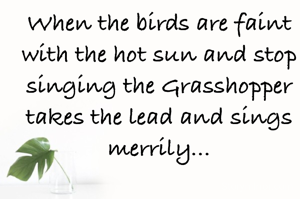 When the birds are faint with the hot sun and stop singing the Grasshopper takes the lead and sings merrily...