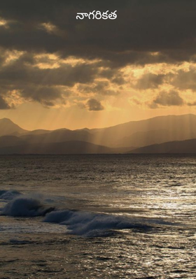 నాగరికత