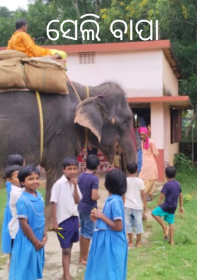 ସେଲି ବାପା