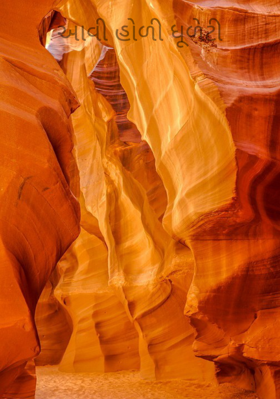 આવી હોળી ધૂળેટી