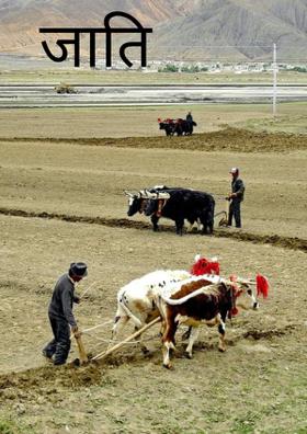 जाति